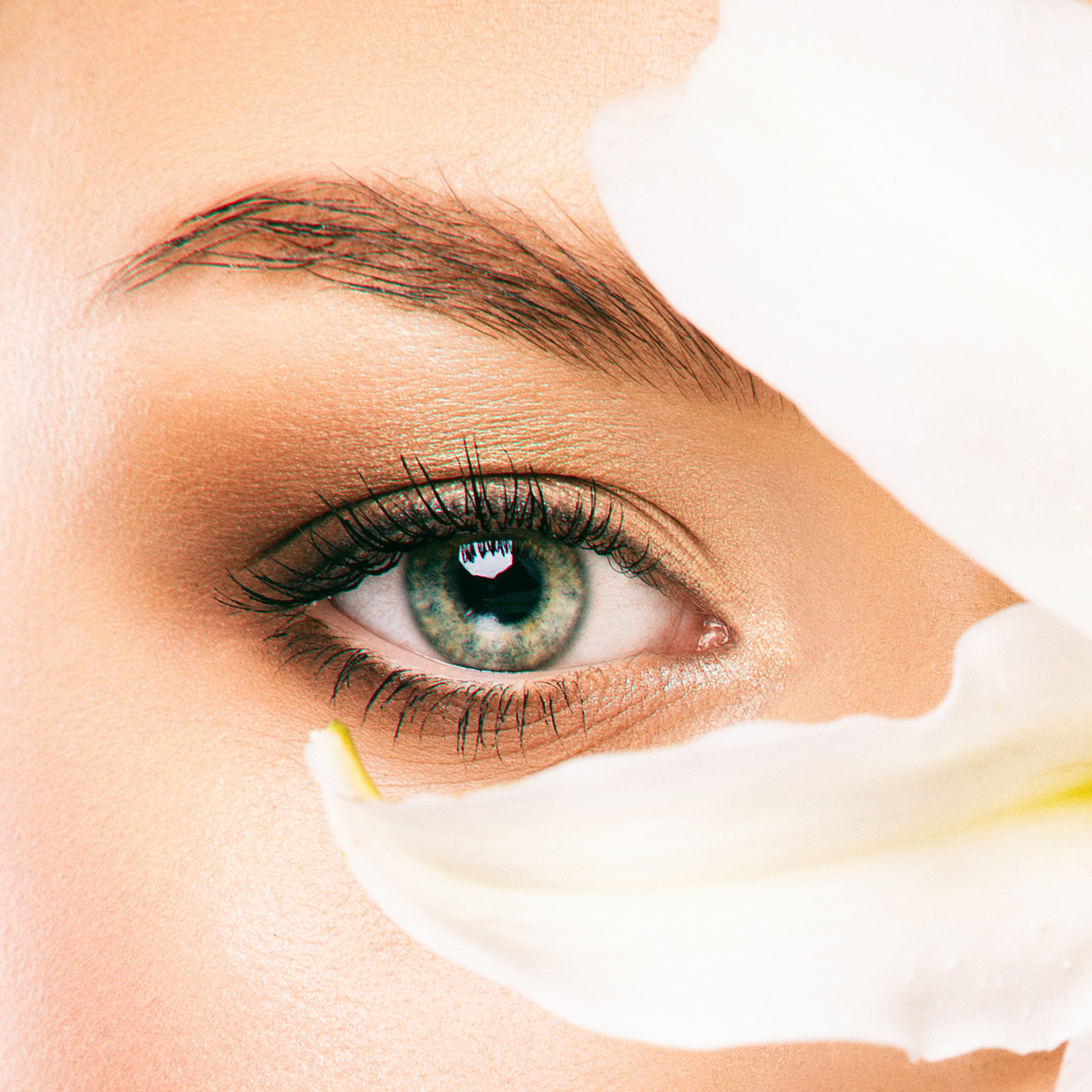 $100 Off Choose from Microblading, Power Ombré or Microshading. icon