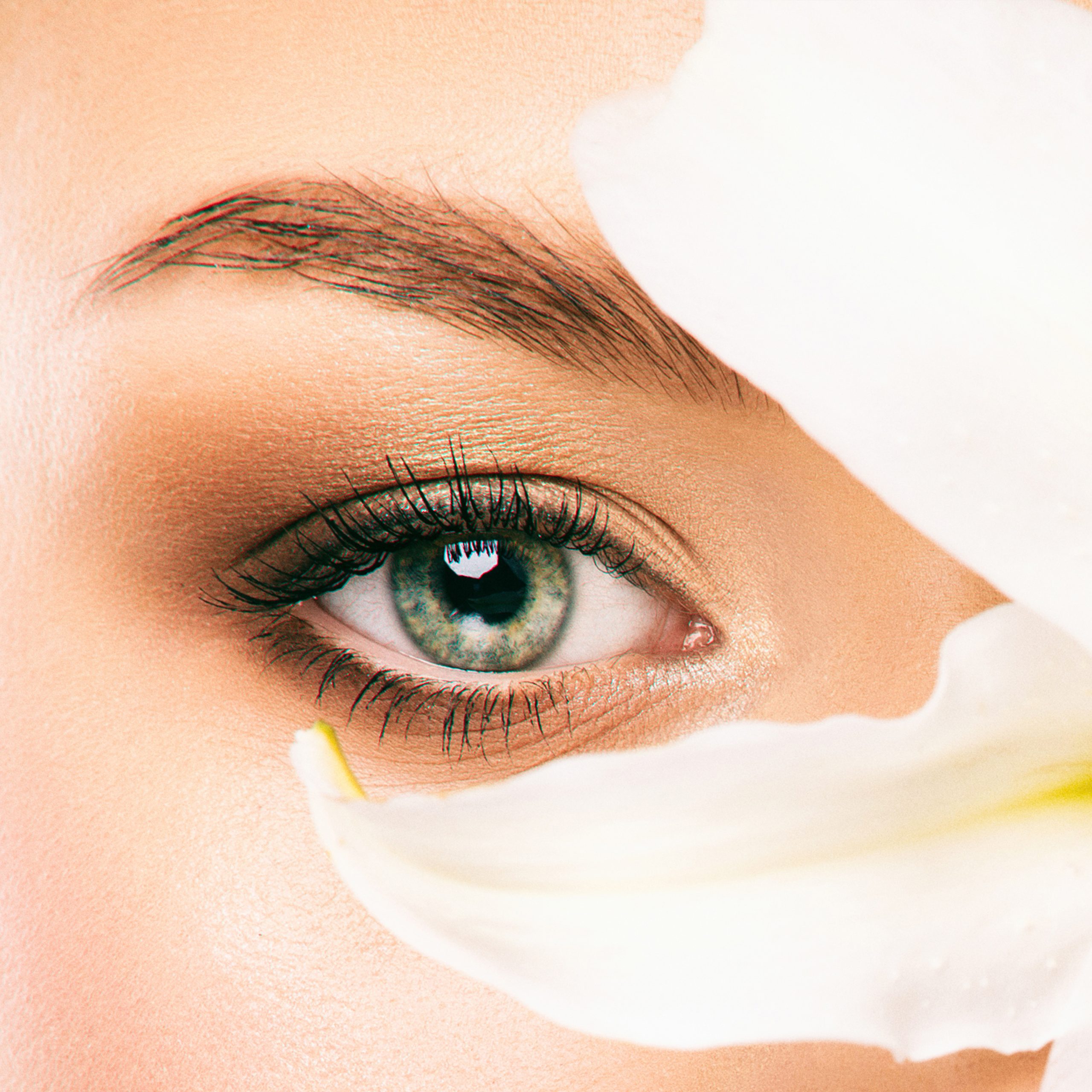 $100 Off Choose from Microblading,  Powder Ombré or Microshading icon